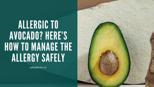 Allergic to Avocado? Here’s How to Manage the Allergy Safely