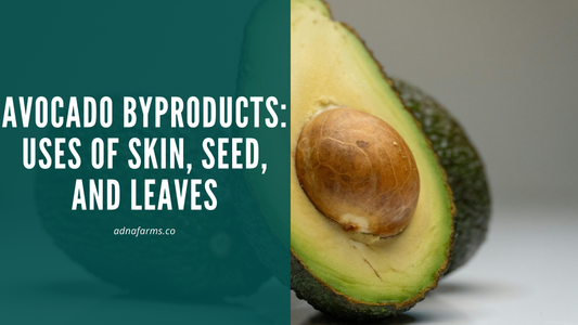 Avocado Byproducts: Uses of Skin, Seed, and Leaves