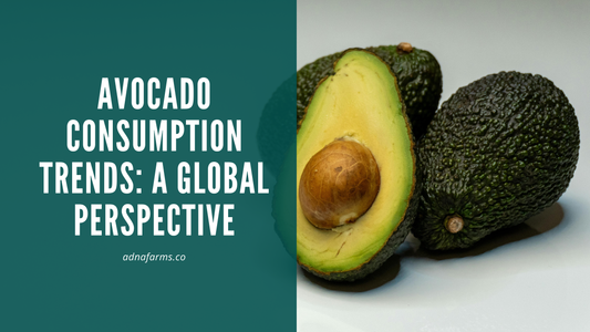 Avocado Consumption Trends: A Global Perspective