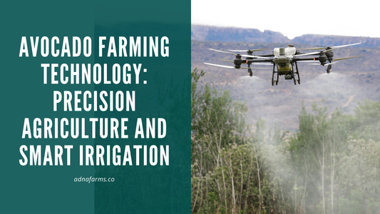 Avocado Farming Technology: Precision Agriculture and Smart Irrigation