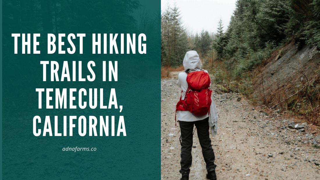 The Best Hiking Trails in Temecula, California: Explore Scenic Views and Nature