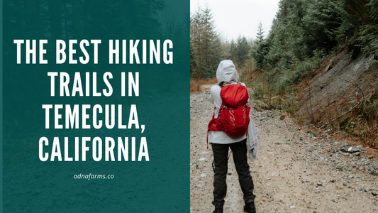 The Best Hiking Trails in Temecula, California: Explore Scenic Views and Nature