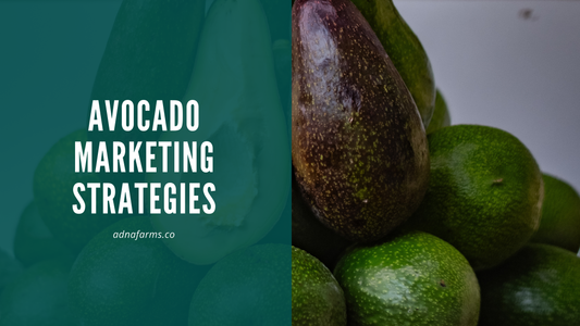 Avocado Marketing Strategies: Branding and Consumer Preferences