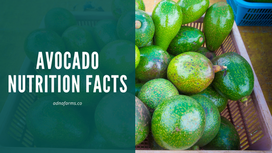 Avocado Nutrition Facts: Fats, Vitamins, and Antioxidants