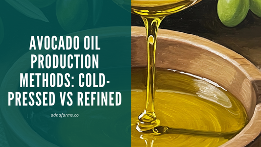 Avocado Oil Production Methods: Cold-Pressed vs Refined Cold-Pressed