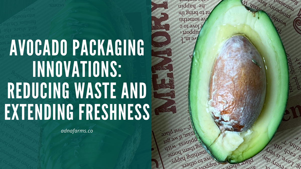 Avocado Packaging Innovations: Reducing Waste and Extending Freshness