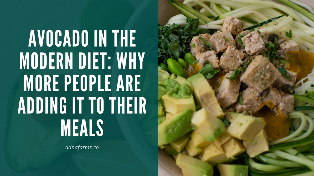 Avocado in the Modern Diet: Why More People Are Adding It to Their Meals
