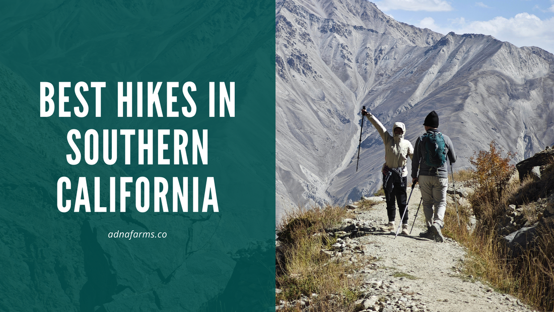 Best Hikes in Southern California: A Deep Dive into Trails, Tips &amp; Scenic Adventures