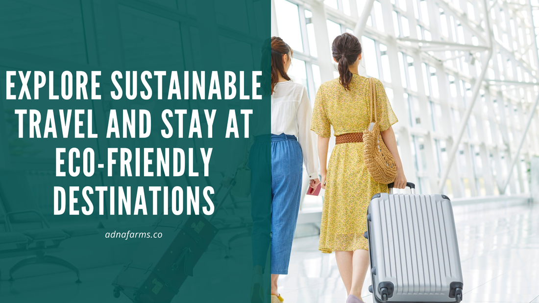 Explore Sustainable Travel and Stay at Eco-Friendly Destinations