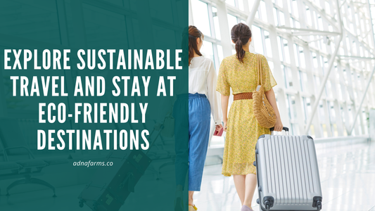 Explore Sustainable Travel and Stay at Eco-Friendly Destinations
