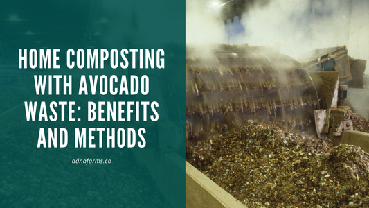 Home Composting with Avocado Waste: Benefits and Methods
