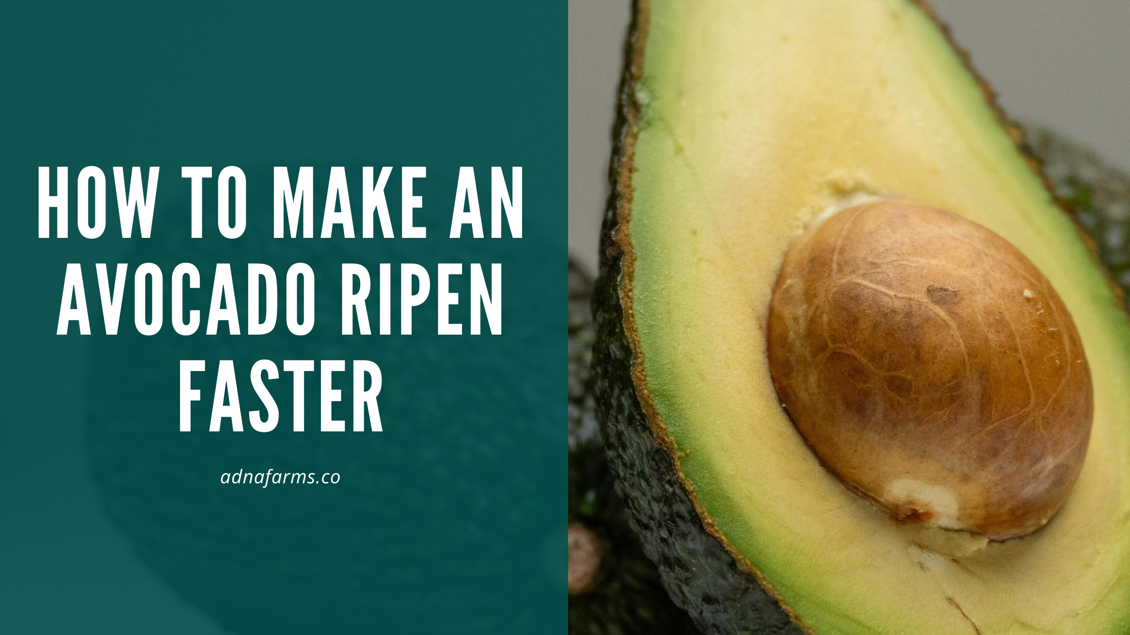 How to Make an Avocado Ripen Faster: Simple Tips for Perfect Fruit