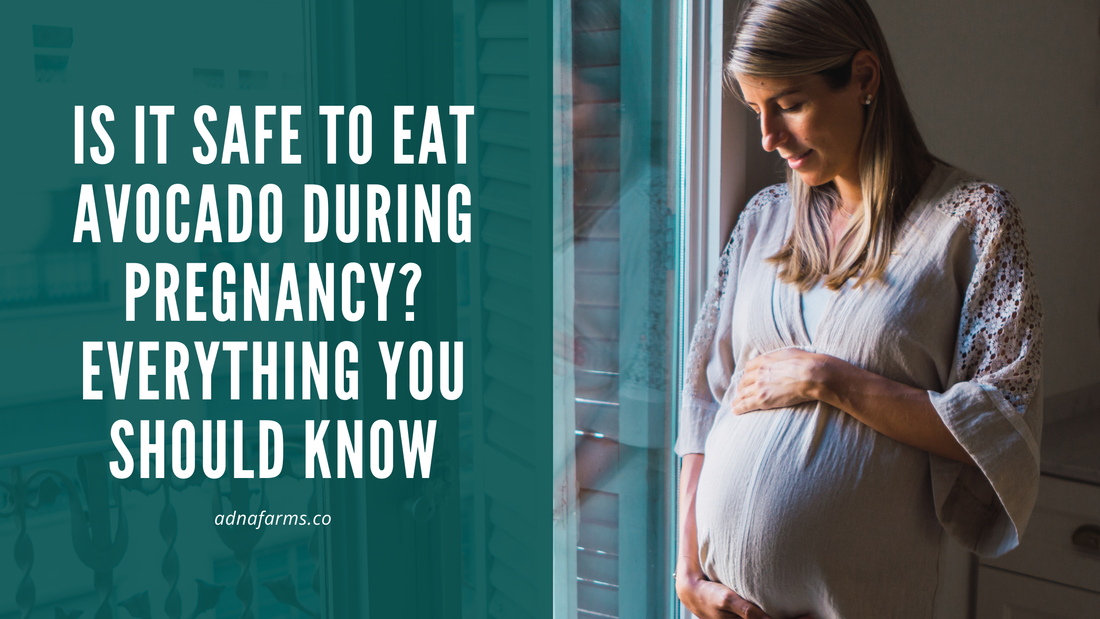 Is It Safe to Eat Avocado During Pregnancy? Everything You Should Know