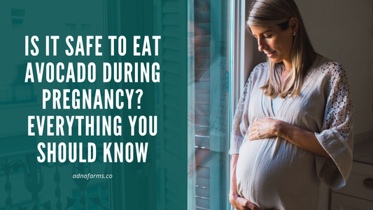 Is It Safe to Eat Avocado During Pregnancy? Everything You Should Know
