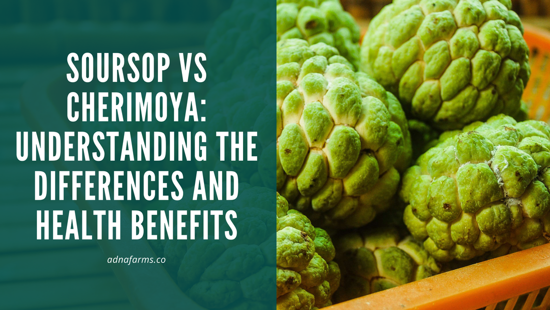 Soursop vs Cherimoya: Understanding the Differences and Health Benefits