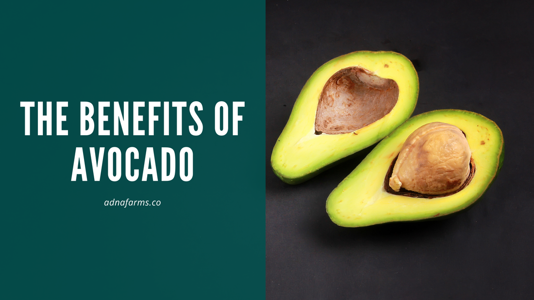 The Benefits of Avocado: Why You Should Make It a Part of Your Diet