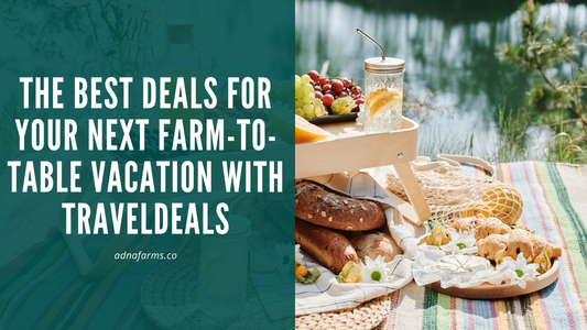 The Best Deals for Your Next Farm-to-Table Vacation with TravelDeals