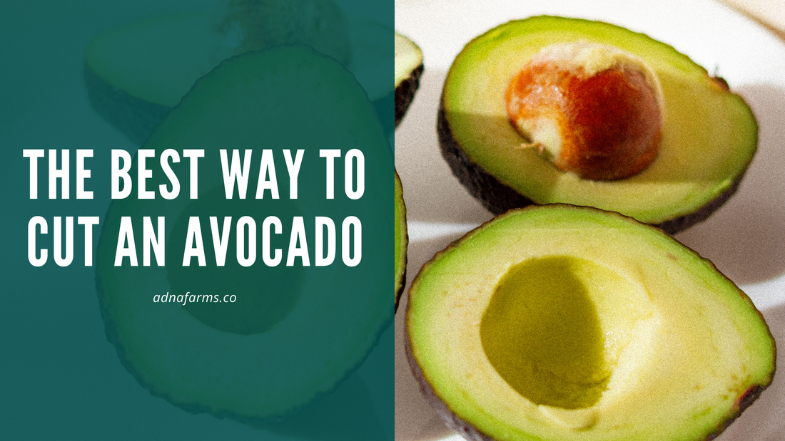 The Best Way to Cut an Avocado: Step-by-Step Guide for Beginners