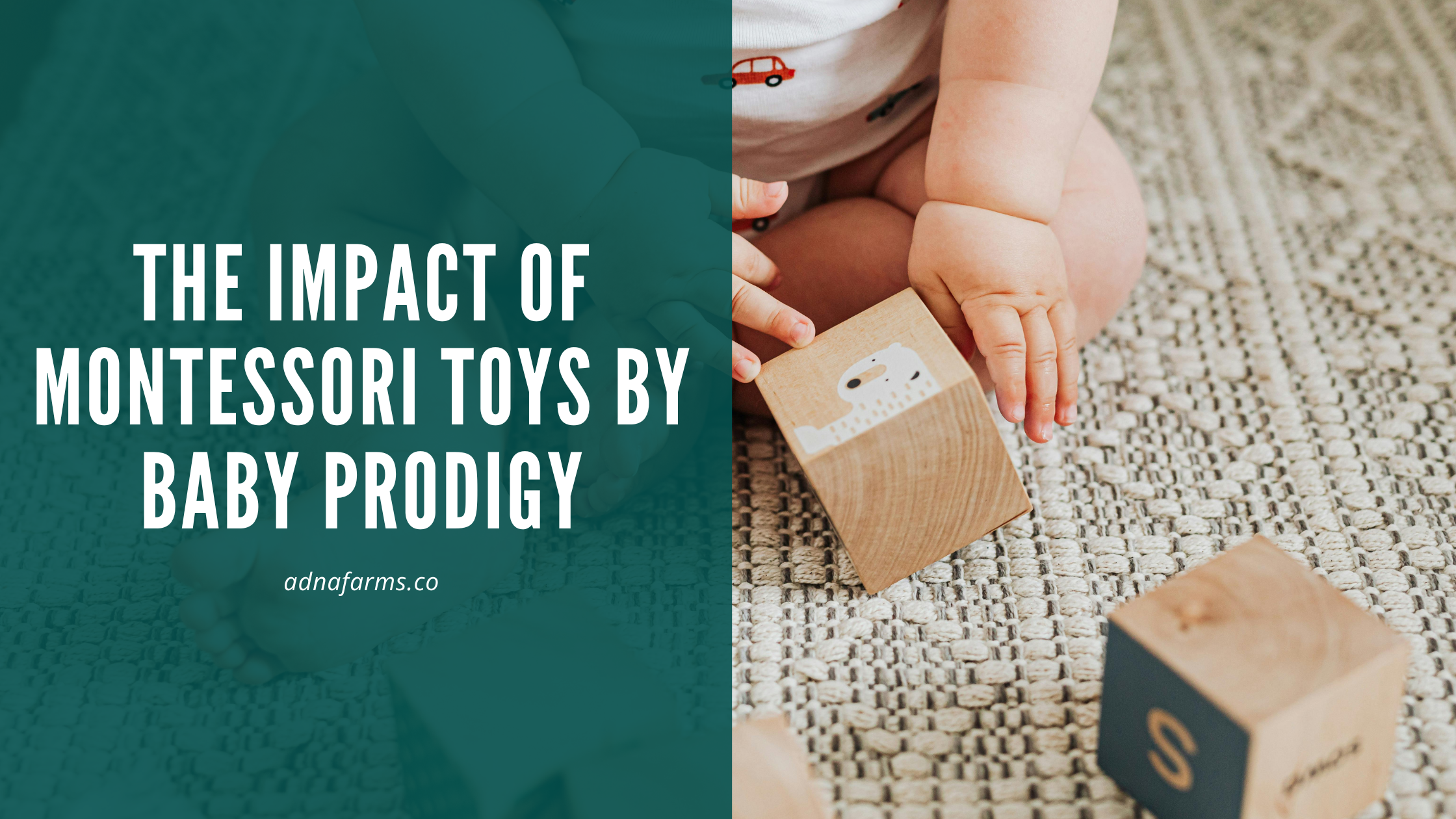 The Impact of Montessori Toys by Baby Prodigy