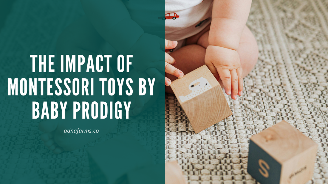The Impact of Montessori Toys by Baby Prodigy