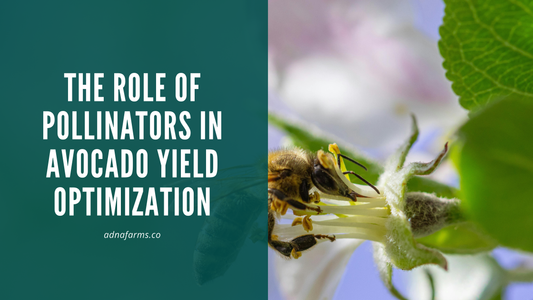 The Role of Pollinators in Avocado Yield Optimization