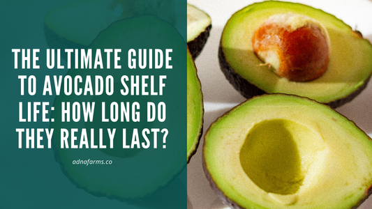 The Ultimate Guide to Avocado Shelf Life: How Long Do They Really Last?