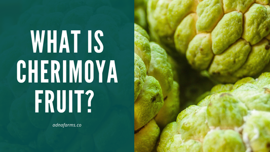 What is Cherimoya Fruit? A Complete Guide to the Custard Apple
