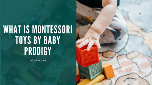 What is Montessori Toys by Baby Prodigy