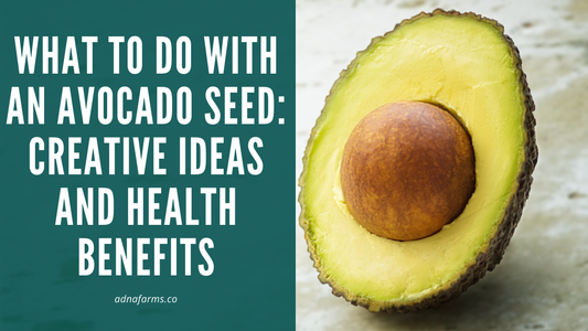 What to Do with an Avocado Seed: Creative Ideas and Health Benefits